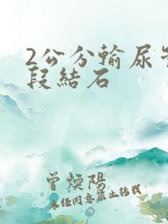 2公分输尿管上段结石