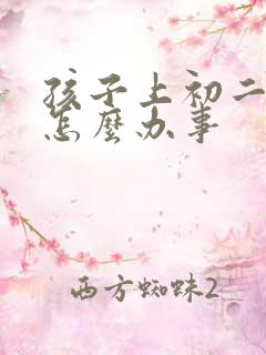 孩子上初二厌学怎么办事