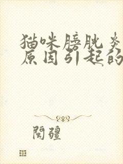 猫咪膀胱炎什么原因引起的