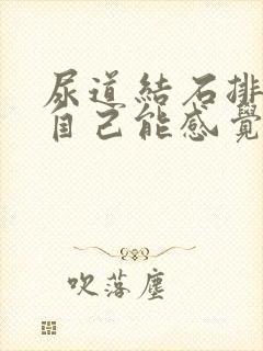 尿道结石排出来自己能感觉到吗