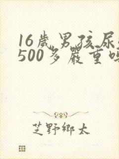 16岁男孩尿酸500多严重吗