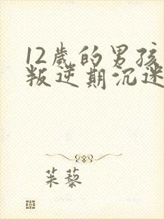 12岁的男孩子叛逆期沉迷手机