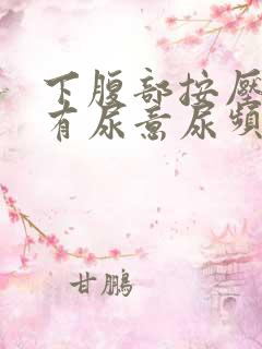 下腹部按压疼痛有尿意尿频