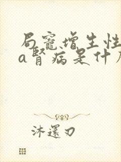 局灶增生性iga肾病是什么引起的