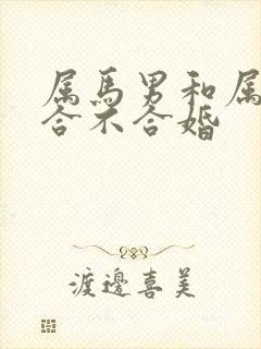 属马男和属虎女合不合婚