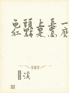 龟头上长一个小红点是怎么回事