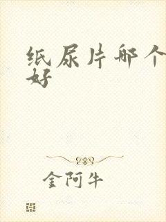 纸尿片哪个牌子好