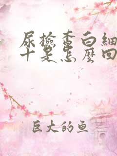 尿检查白细胞2十是怎么回事