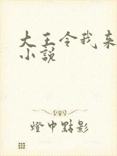 大王令我来巡山小说