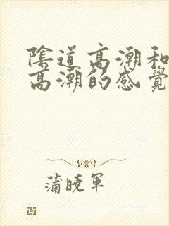 阴道高潮和阴蒂高潮的感觉一样吗