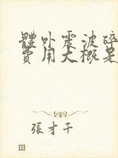 体外震波碎石的费用大概是多少