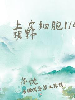 上皮细胞1/4视野