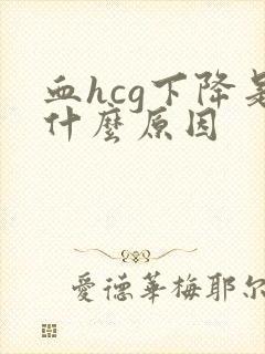 血hcg下降是什么原因