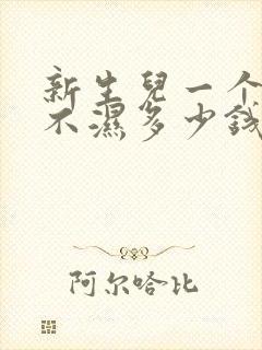 新生儿一个月尿不湿多少钱