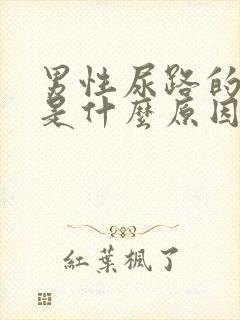 男性尿路的感染是什么原因