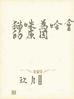 猫咪为啥会尿闭的原因