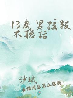 13岁男孩叛逆不听话