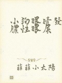 小狗眼睛发红有脓性眼屎