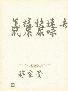 怎样快速去除老鼠屎尿味