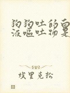 狗狗吐的白色粘液呕吐物是咋回事