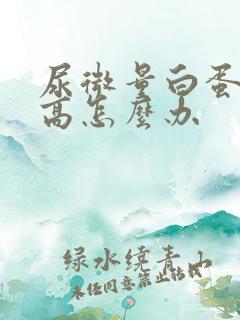 尿微量白蛋白升高怎么办