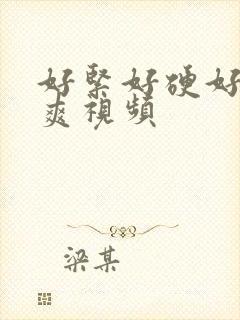 好紧好硬好硬…爽视频