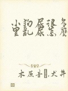 小狗尿很多在家里乱尿怎么办