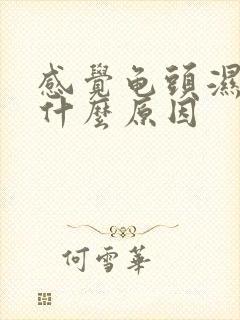 感觉龟头湿湿的什么原因