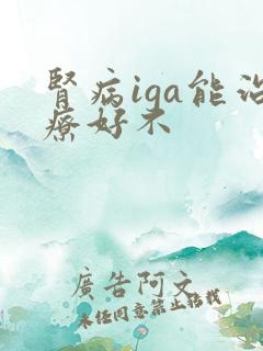 肾病iga能治疗好不