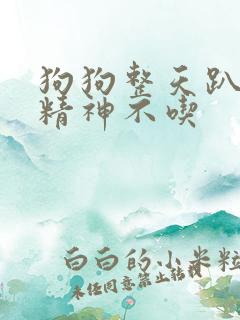 狗狗整天趴着没精神不吃