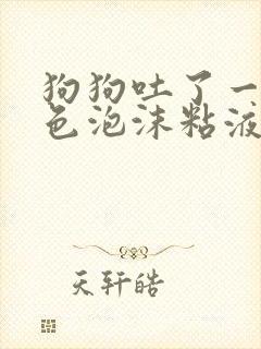 狗狗吐了一滩白色泡沫粘液还拉稀