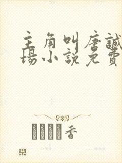 主角叫唐诚的官场小说免费阅读