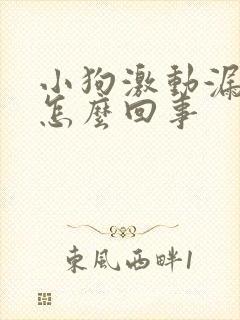 小狗激动漏尿是怎么回事