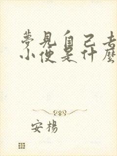 梦见自己去公厕小便是什么意思