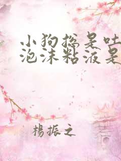 小狗总是吐白色泡沫粘液是怎么回事