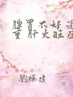 脾胃不好 湿气重 肝火旺症状