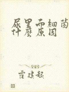 尿里面细菌多是什么原因