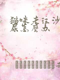 猫咪老往沙发上尿怎么办