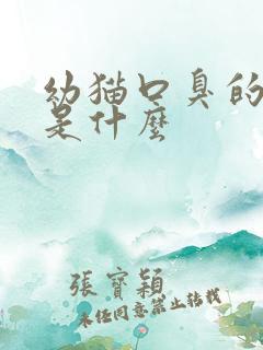 幼猫口臭的原因是什么