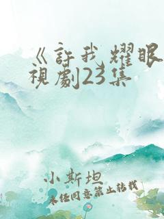 《许我耀眼》电视剧23集