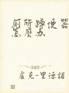 厕所蹲便器堵了怎么办