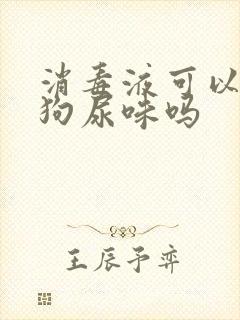 消毒液可以去狗狗尿味吗