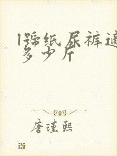 l号纸尿裤适合多少斤