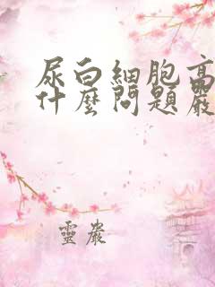 尿白细胞高说明什么问题严重吗