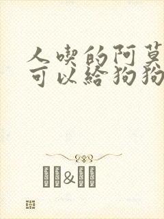 人吃的阿莫西林可以给狗狗吃吗