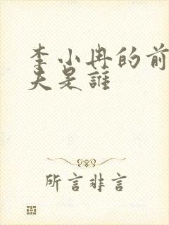 李小冉的前任丈夫是谁