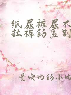 纸尿裤尿不湿拉拉裤的区别