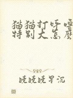 猫猫打呼噜声音特别大怎么回事