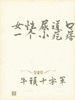 女性尿道口长了一个小疙瘩怎么回事