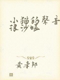 小猫的声音变得很沙哑